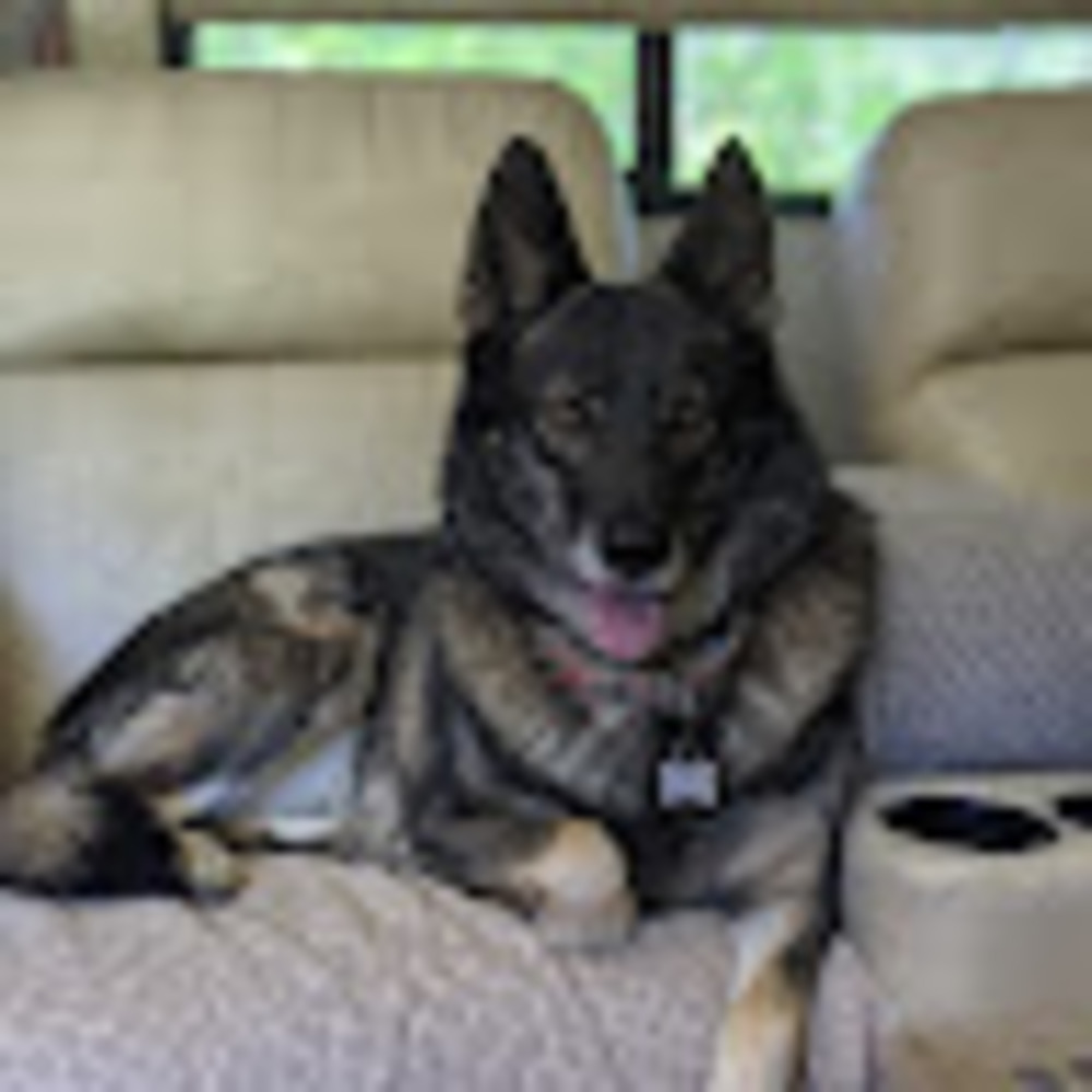 Meet your Posher, Janice